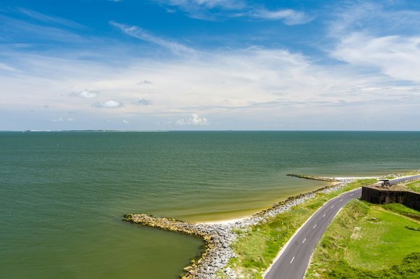 Où observer les dauphins à spinner en Polynésie française : lieux et périodes ?